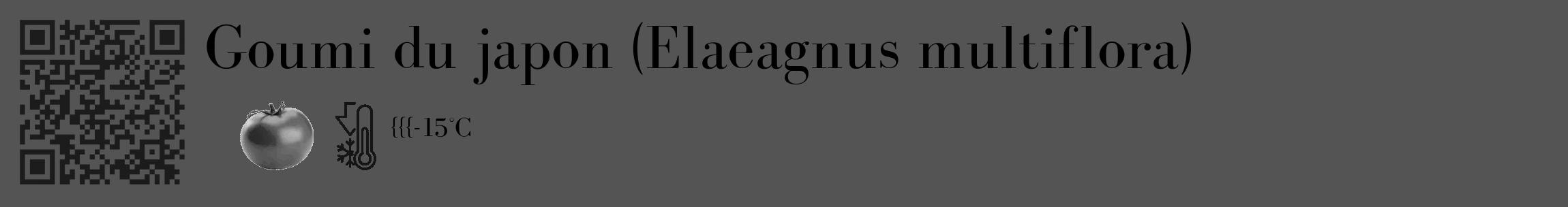 Étiquette de : Elaeagnus multiflora - format c - style noire36_basique_basiquebod avec qrcode et comestibilité simplifiée