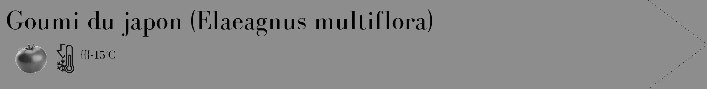 Étiquette de : Elaeagnus multiflora - format c - style noire2_simple_simplebod avec comestibilité simplifiée