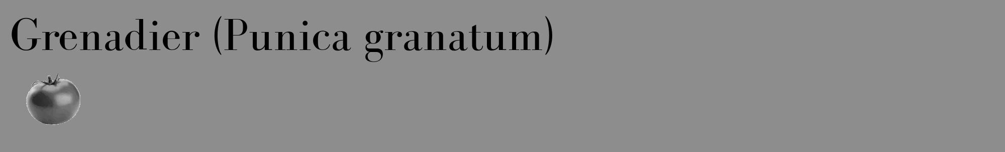 Étiquette de : Punica granatum - format c - style noire2_basique_basiquebod avec comestibilité simplifiée