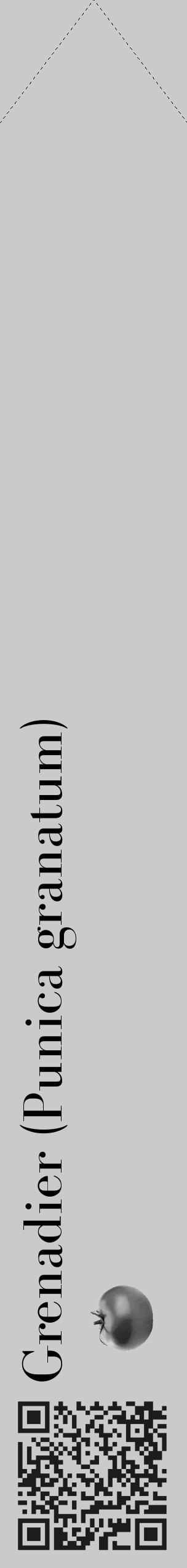 Étiquette de : Punica granatum - format c - style noire21_simple_simplebod avec qrcode et comestibilité simplifiée - position verticale