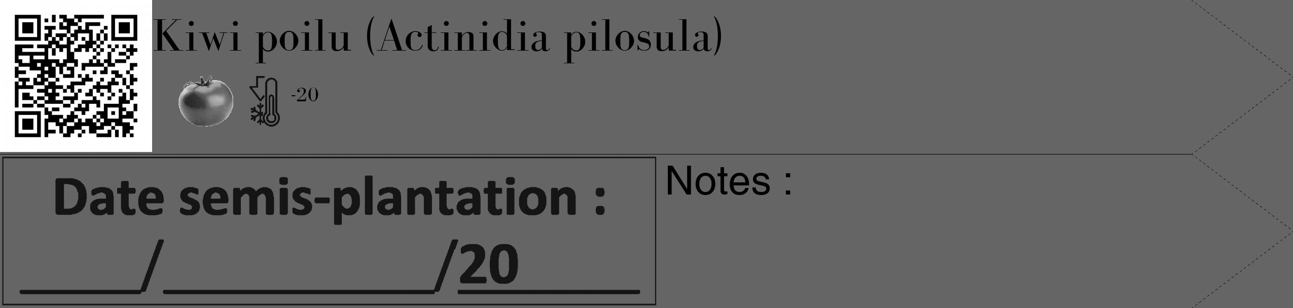 Étiquette de : Actinidia pilosula - format c - style noire32_simple_simplebod avec qrcode et comestibilité simplifiée