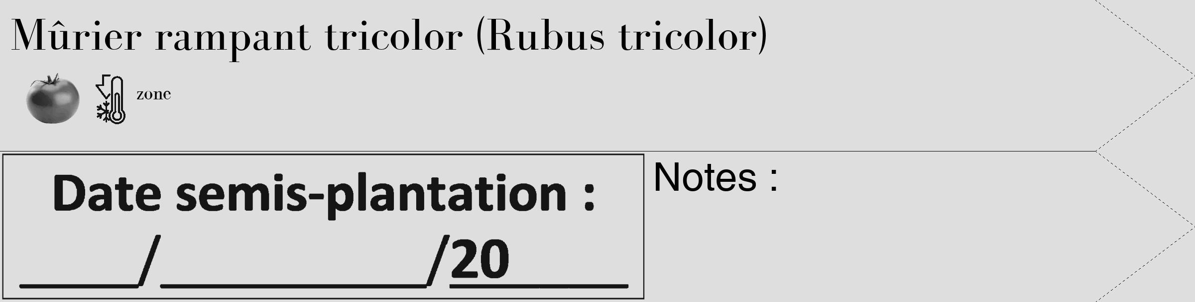 Étiquette de : Rubus tricolor - format c - style noire20_simple_simplebod avec comestibilité simplifiée