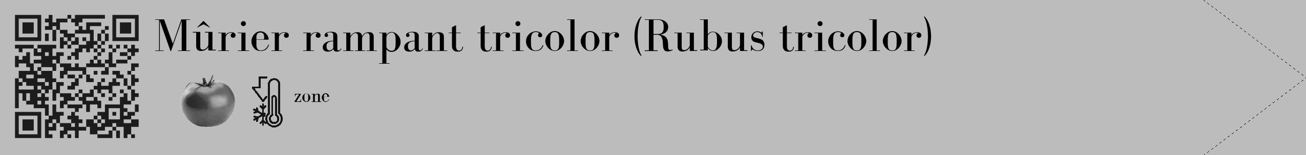 Étiquette de : Rubus tricolor - format c - style noire1_simple_simplebod avec qrcode et comestibilité simplifiée