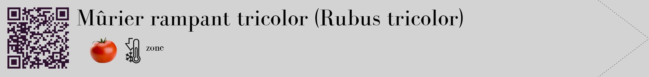 Étiquette de : Rubus tricolor - format c - style noire56_simple_simplebod avec qrcode et comestibilité simplifiée