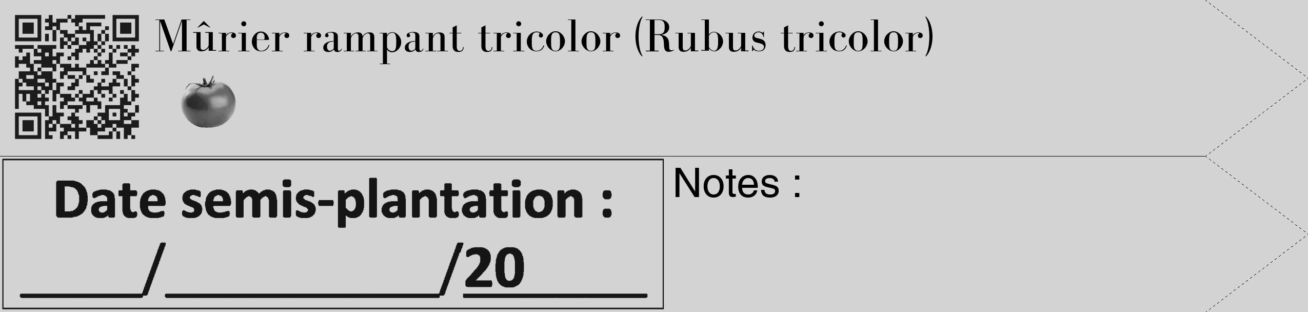 Étiquette de : Rubus tricolor - format c - style noire56_simple_simplebod avec qrcode et comestibilité simplifiée