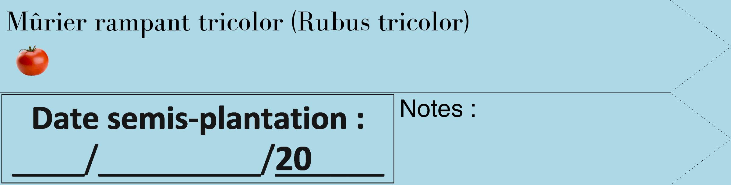 Étiquette de : Rubus tricolor - format c - style noire0_simple_simplebod avec comestibilité simplifiée