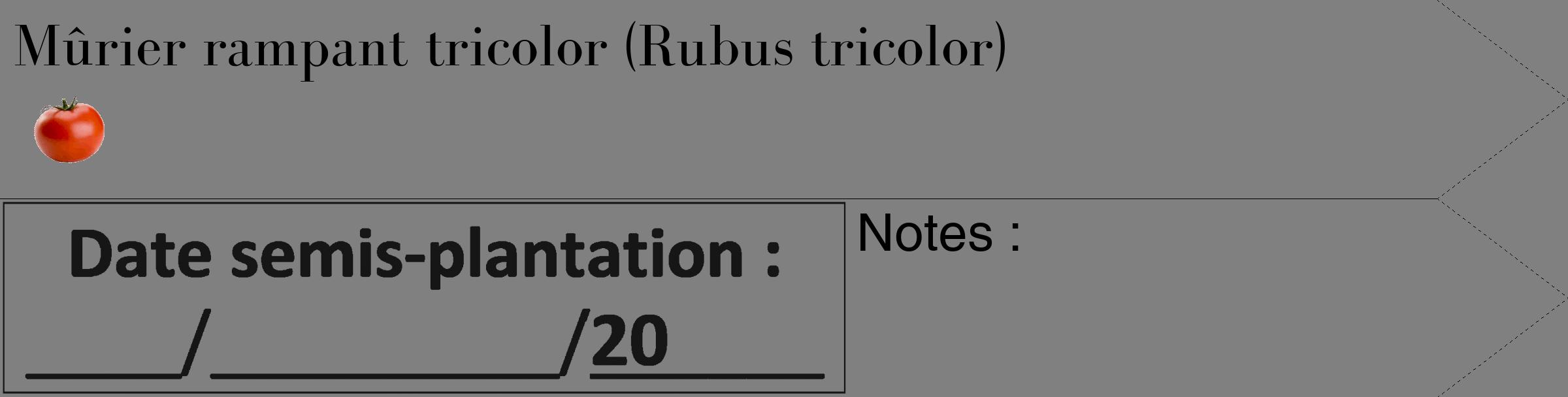 Étiquette de : Rubus tricolor - format c - style noire57_simple_simplebod avec comestibilité simplifiée