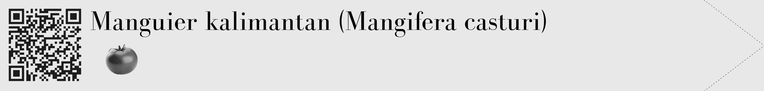 Étiquette de : Mangifera casturi - format c - style noire55_simple_simplebod avec qrcode et comestibilité simplifiée