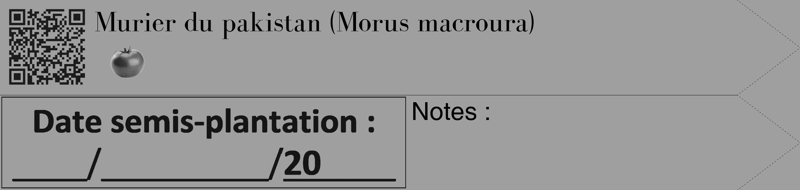 Étiquette de : Morus macroura - format c - style noire24_simple_simplebod avec qrcode et comestibilité simplifiée