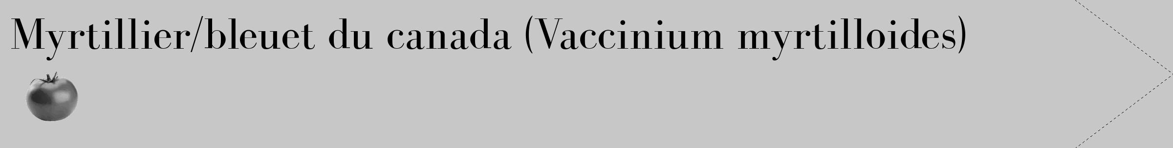 Étiquette de : Vaccinium myrtilloides - format c - style noire15_simple_simplebod avec comestibilité simplifiée