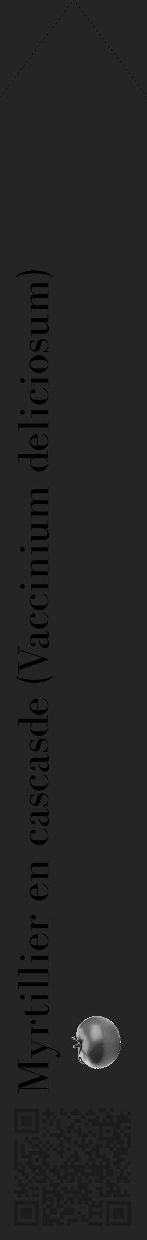 Étiquette de : Vaccinium deliciosum - format c - style noire47_simple_simplebod avec qrcode et comestibilité simplifiée - position verticale