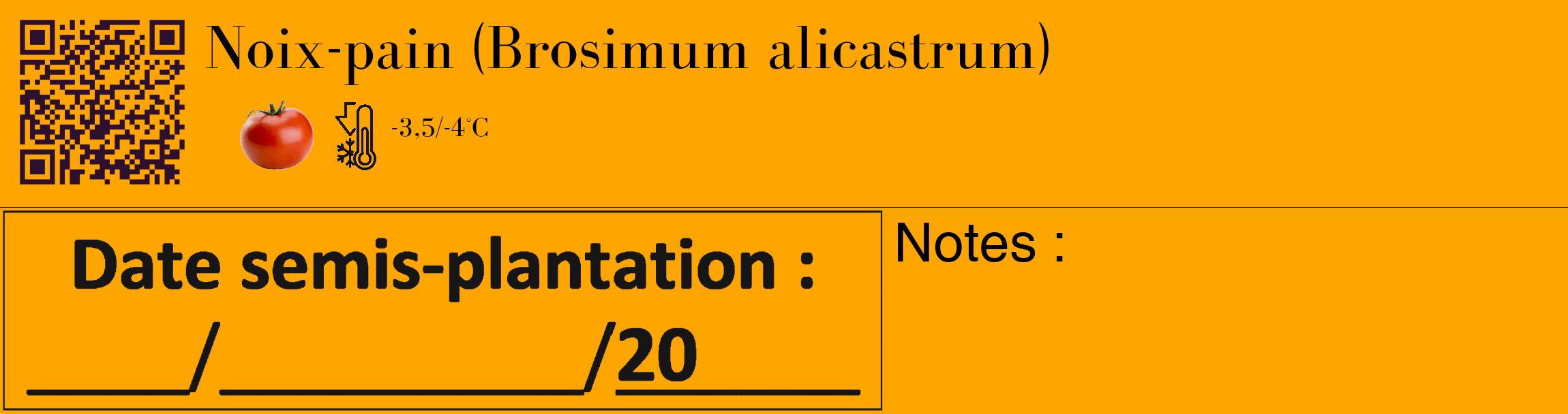 Étiquette de : Brosimum alicastrum - format c - style noire22_basique_basiquebod avec qrcode et comestibilité simplifiée