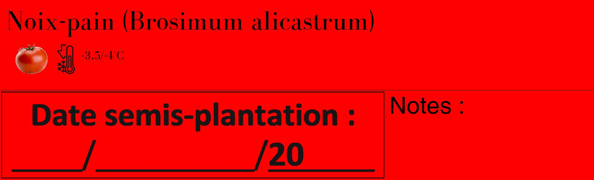 Étiquette de : Brosimum alicastrum - format c - style noire27_basique_basiquebod avec comestibilité simplifiée