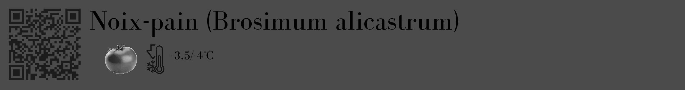 Étiquette de : Brosimum alicastrum - format c - style noire9_basique_basiquebod avec qrcode et comestibilité simplifiée