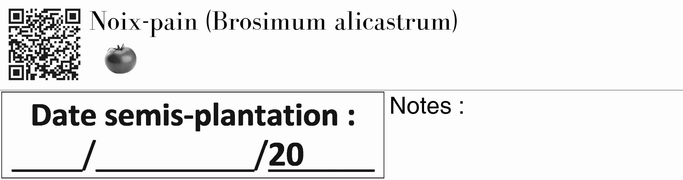 Étiquette de : Brosimum alicastrum - format c - style noire19_basique_basiquebod avec qrcode et comestibilité simplifiée