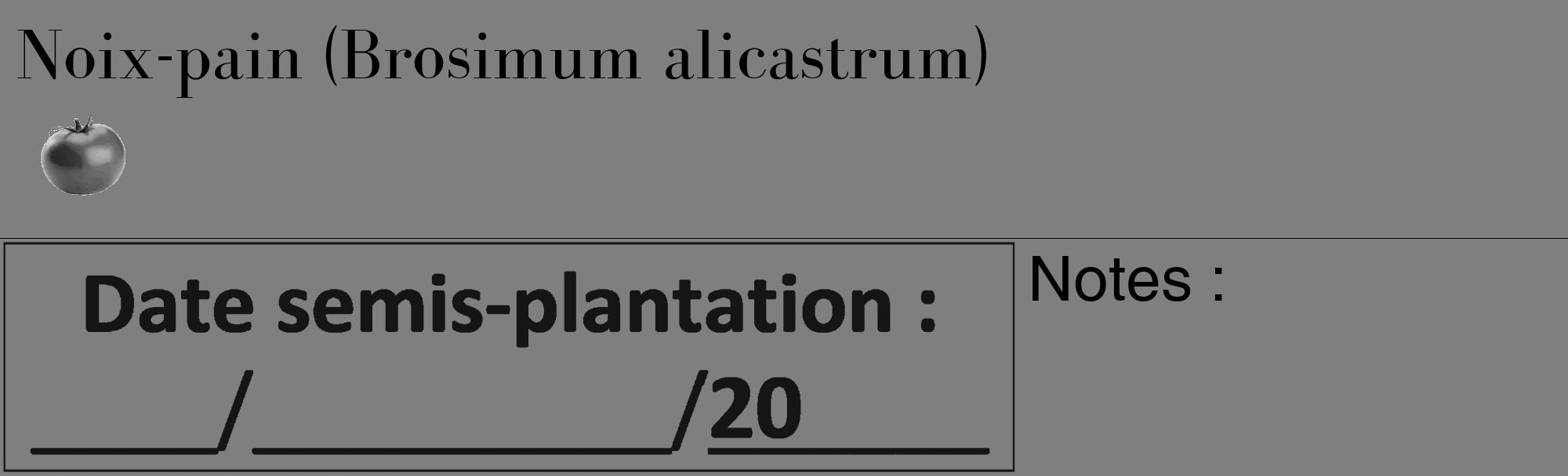 Étiquette de : Brosimum alicastrum - format c - style noire57_basique_basiquebod avec comestibilité simplifiée
