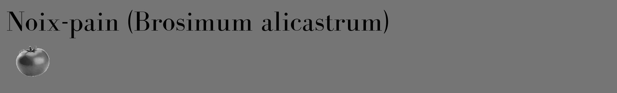 Étiquette de : Brosimum alicastrum - format c - style noire5_basique_basiquebod avec comestibilité simplifiée