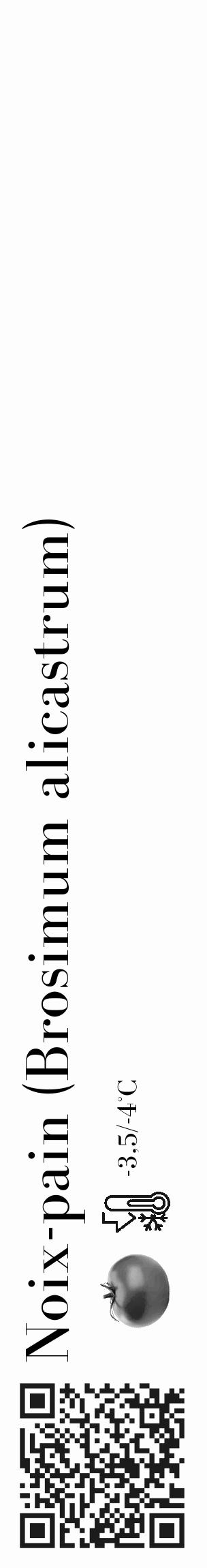 Étiquette de : Brosimum alicastrum - format c - style noire19_basique_basiquebod avec qrcode et comestibilité simplifiée - position verticale