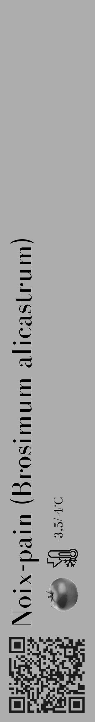 Étiquette de : Brosimum alicastrum - format c - style noire22_basique_basiquebod avec qrcode et comestibilité simplifiée - position verticale