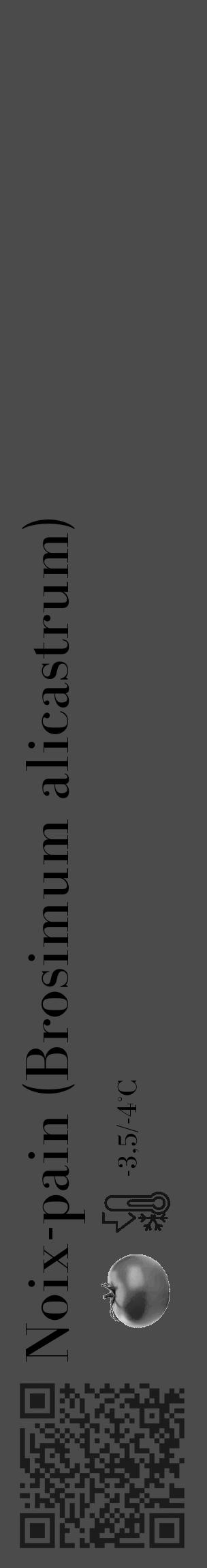 Étiquette de : Brosimum alicastrum - format c - style noire9_basique_basiquebod avec qrcode et comestibilité simplifiée - position verticale