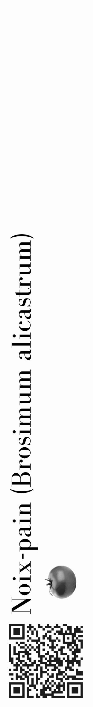 Étiquette de : Brosimum alicastrum - format c - style noire19_basique_basiquebod avec qrcode et comestibilité simplifiée - position verticale