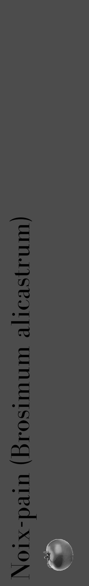 Étiquette de : Brosimum alicastrum - format c - style noire27_basique_basiquebod avec comestibilité simplifiée - position verticale