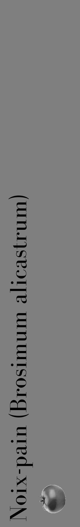 Étiquette de : Brosimum alicastrum - format c - style noire57_basique_basiquebod avec comestibilité simplifiée - position verticale