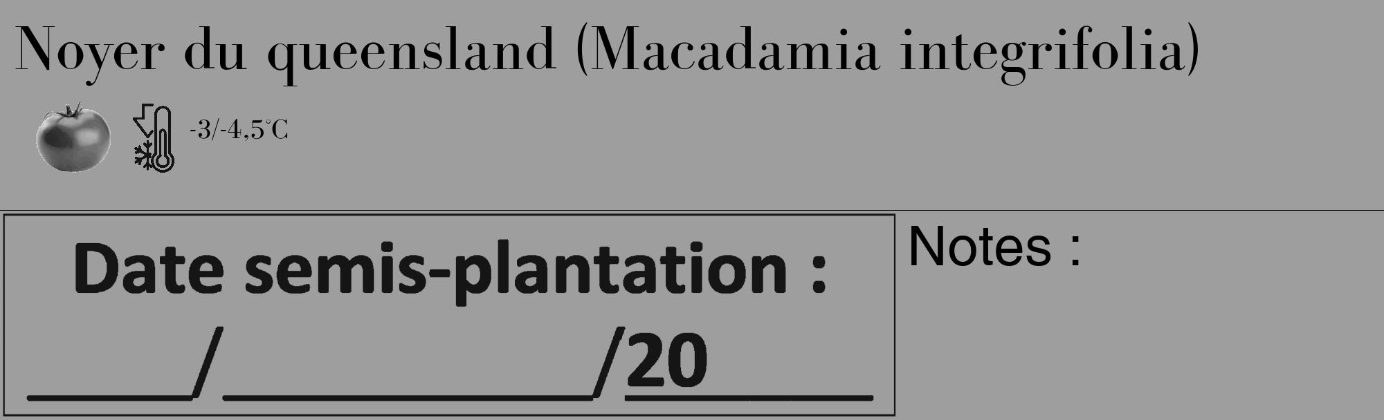 Étiquette de : Macadamia integrifolia - format c - style noire42_basique_basiquebod avec comestibilité simplifiée