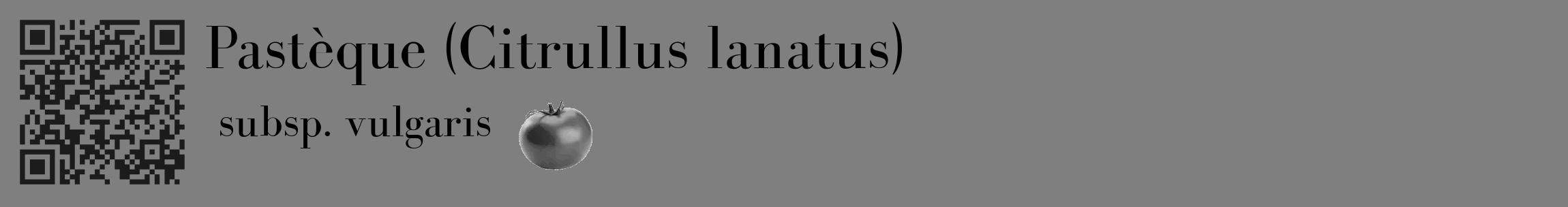 Étiquette de : Citrullus lanatus subsp. vulgaris - format c - style noire57_basique_basiquebod avec qrcode et comestibilité simplifiée