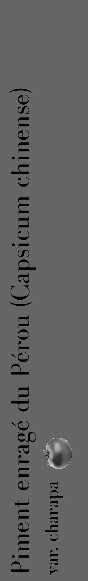 Étiquette de : Capsicum chinense var. charapa - format c - style noire32_basique_basiquebod avec comestibilité simplifiée - position verticale