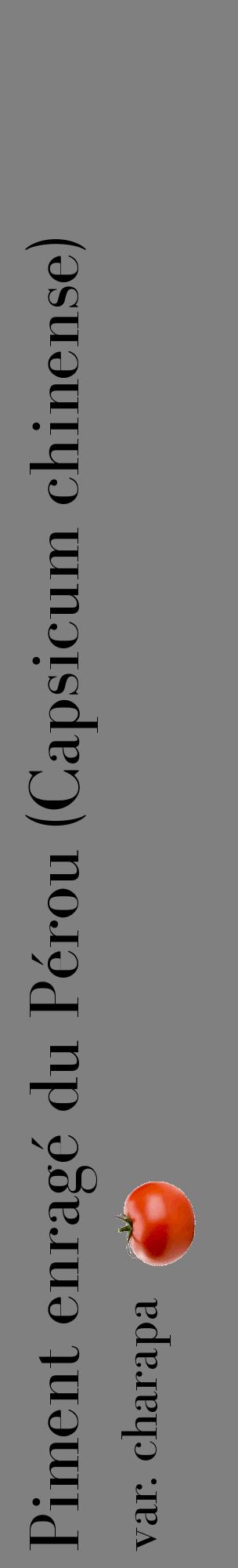 Étiquette de : Capsicum chinense var. charapa - format c - style noire57_basiquebod avec comestibilité simplifiée