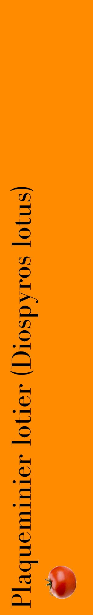 Étiquette de : Diospyros lotus - format c - style noire23_basiquebod avec comestibilité simplifiée