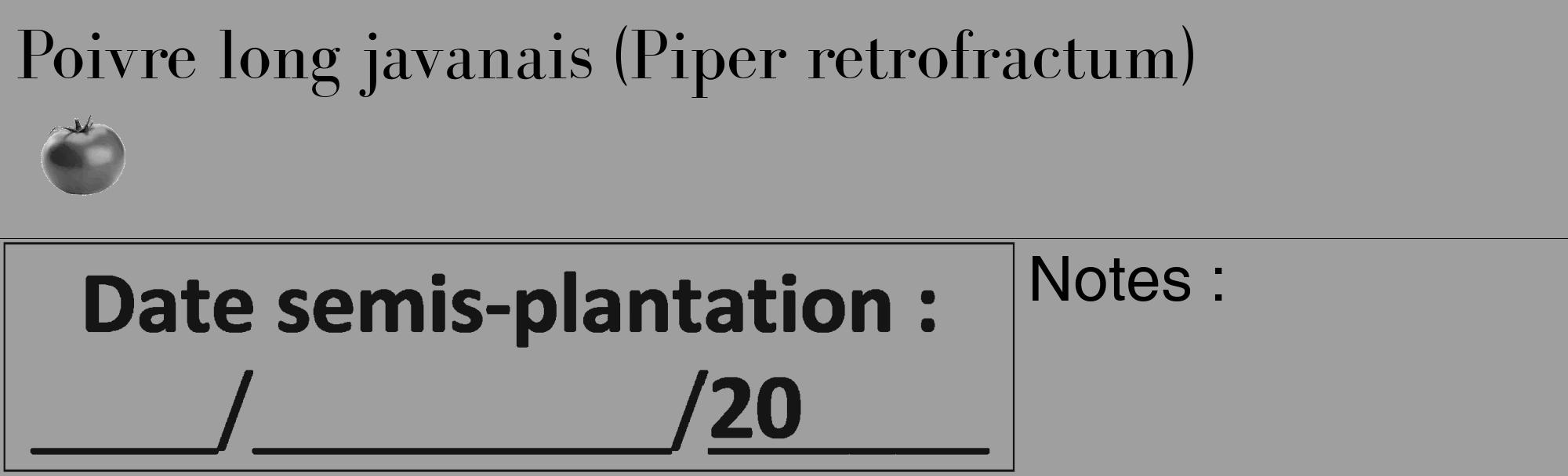 Étiquette de : Piper retrofractum - format c - style noire24_basique_basiquebod avec comestibilité simplifiée