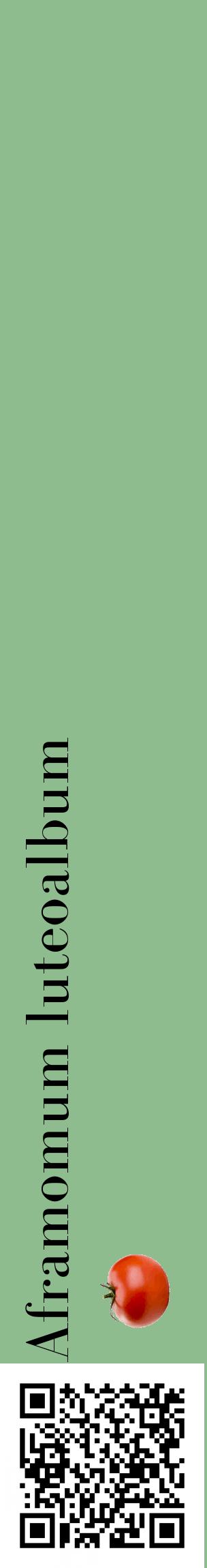 Étiquette de : Aframomum luteoalbum - format c - style noire13_basiquebod avec qrcode et comestibilité simplifiée
