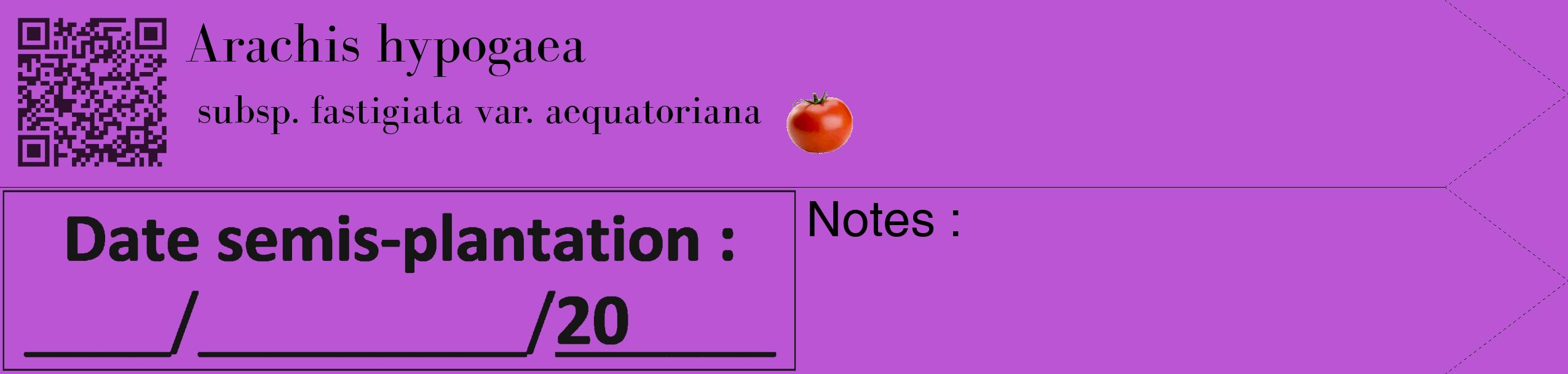 Étiquette de : Arachis hypogaea subsp. fastigiata var. aequatoriana - format c - style noire50_simple_simplebod avec qrcode et comestibilité simplifiée