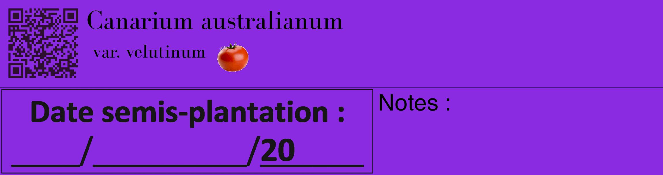 Étiquette de : Canarium australianum var. velutinum - format c - style noire49_basique_basiquebod avec qrcode et comestibilité simplifiée
