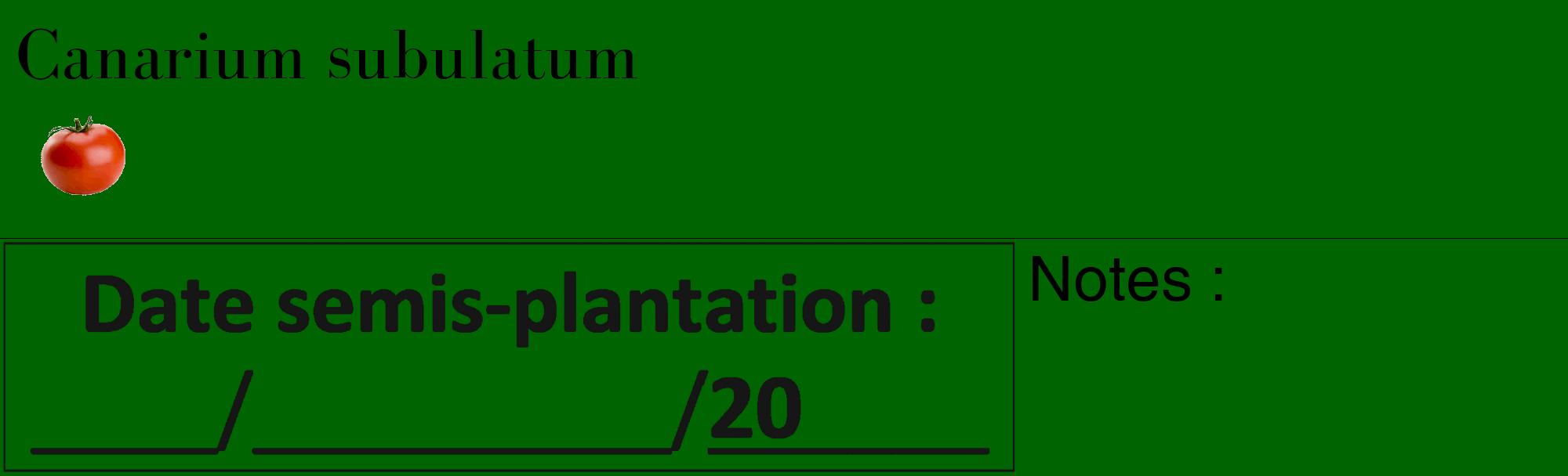 Étiquette de : Canarium subulatum - format c - style noire8_basique_basiquebod avec comestibilité simplifiée