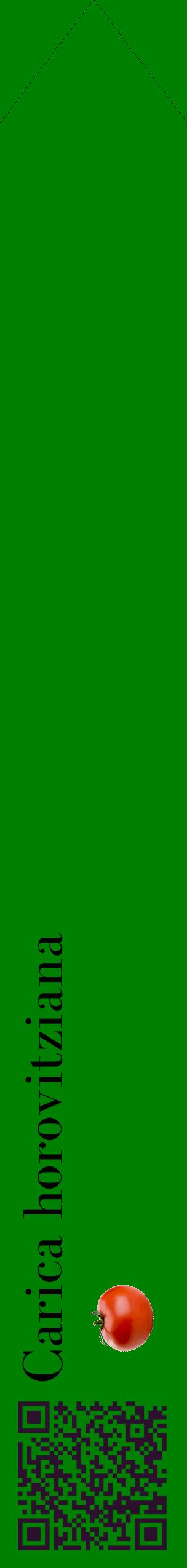 Étiquette de : Carica horovitziana - format c - style noire9_simplebod avec qrcode et comestibilité simplifiée