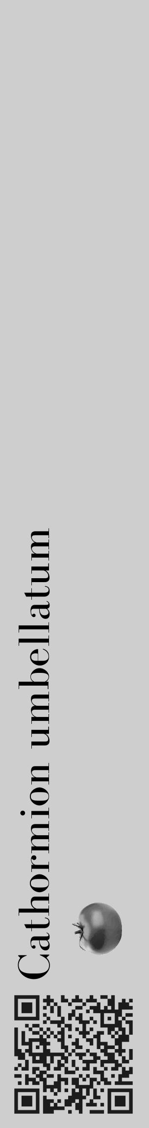Étiquette de : Cathormion umbellatum - format c - style noire17_basique_basiquebod avec qrcode et comestibilité simplifiée - position verticale