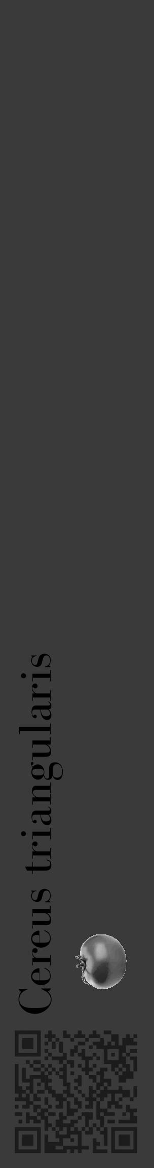 Étiquette de : Cereus triangularis - format c - style noire8_basique_basiquebod avec qrcode et comestibilité simplifiée - position verticale
