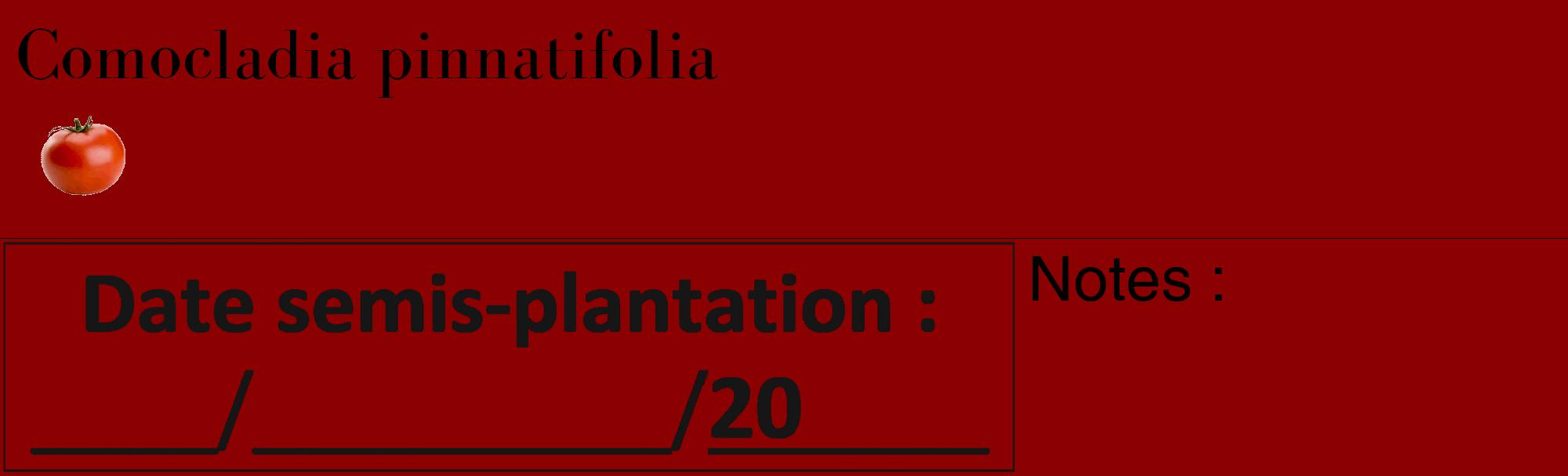 Étiquette de : Comocladia pinnatifolia - format c - style noire34_basique_basiquebod avec comestibilité simplifiée