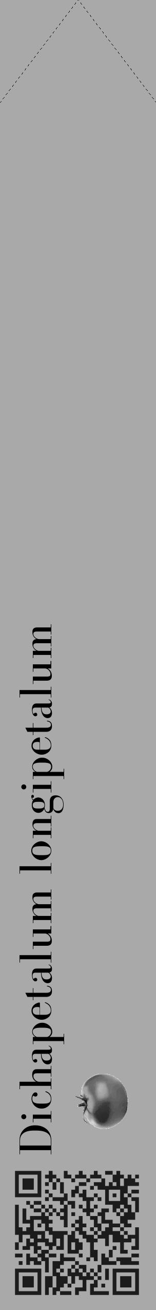 Étiquette de : Dichapetalum longipetalum - format c - style noire13_simple_simplebod avec qrcode et comestibilité simplifiée - position verticale