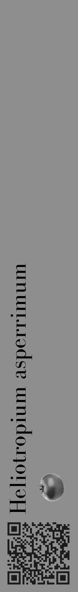 Étiquette de : Heliotropium asperrimum - format c - style noire25_basique_basiquebod avec qrcode et comestibilité simplifiée - position verticale