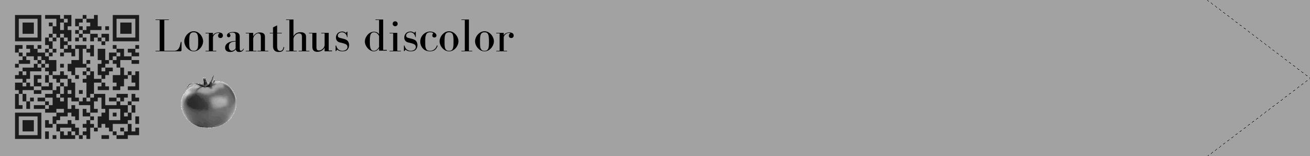 Étiquette de : Loranthus discolor - format c - style noire38_simple_simplebod avec qrcode et comestibilité simplifiée