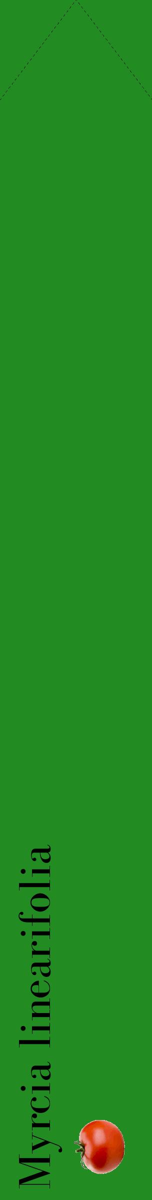 Étiquette de : Myrcia linearifolia - format c - style noire10_simplebod avec comestibilité simplifiée