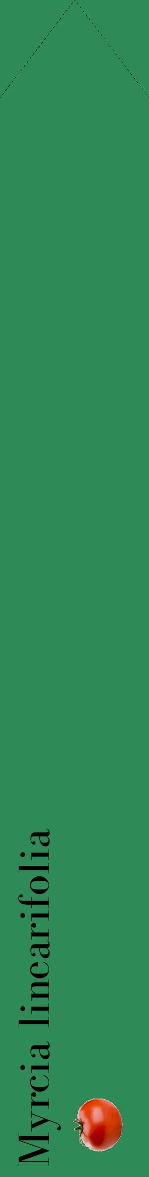 Étiquette de : Myrcia linearifolia - format c - style noire11_simplebod avec comestibilité simplifiée