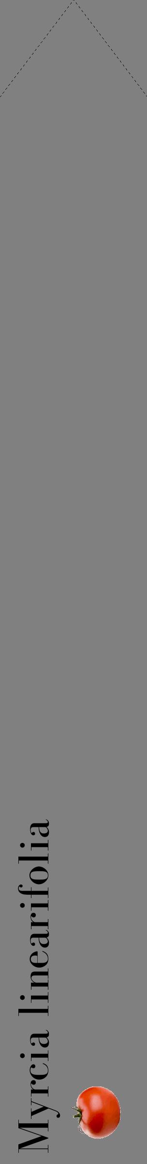 Étiquette de : Myrcia linearifolia - format c - style noire57_simplebod avec comestibilité simplifiée