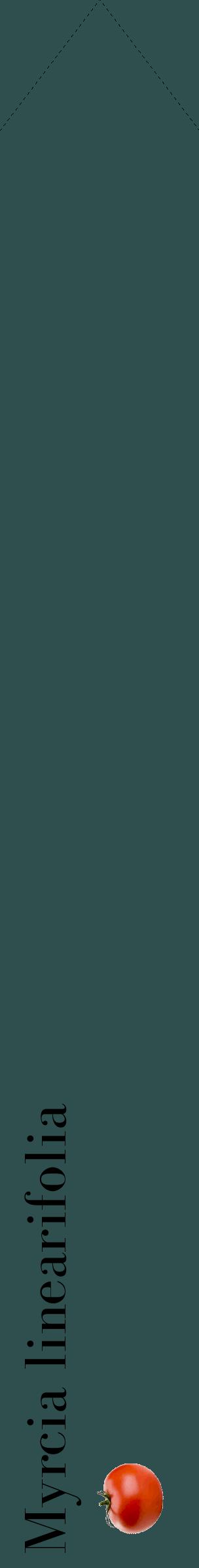 Étiquette de : Myrcia linearifolia - format c - style noire58_simplebod avec comestibilité simplifiée
