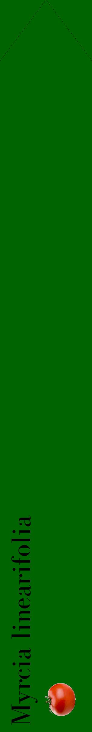 Étiquette de : Myrcia linearifolia - format c - style noire8_simplebod avec comestibilité simplifiée