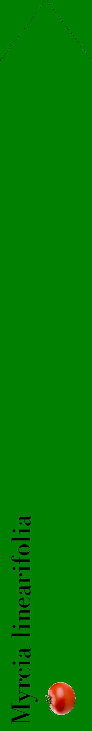 Étiquette de : Myrcia linearifolia - format c - style noire9_simplebod avec comestibilité simplifiée